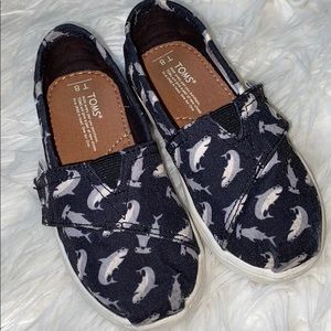 Toms canvas shark print shoes